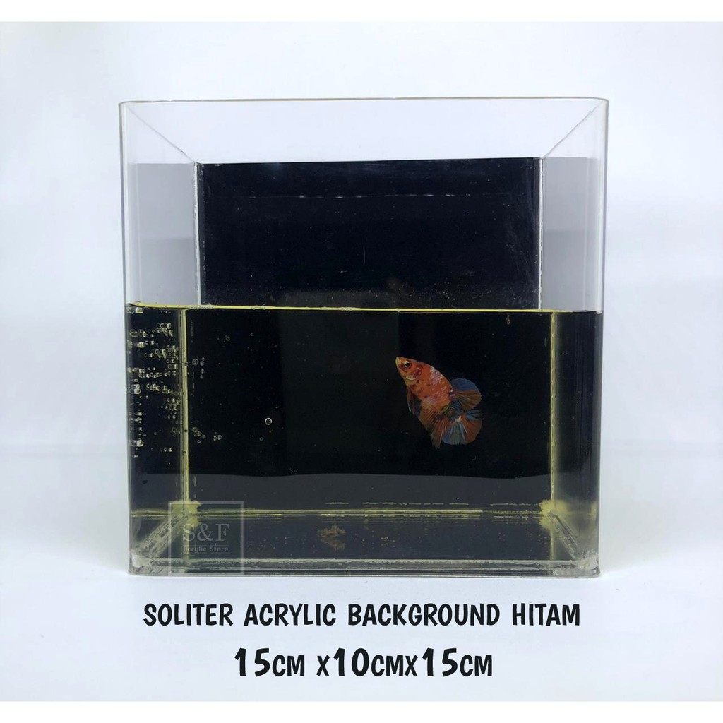 SOLITER AKRILIK / SOLITER IKAN CUPANG / AQUARIUM AKRILIK / SOLITER SELFIE / AQUARIUM CUPANG /AKRILIK