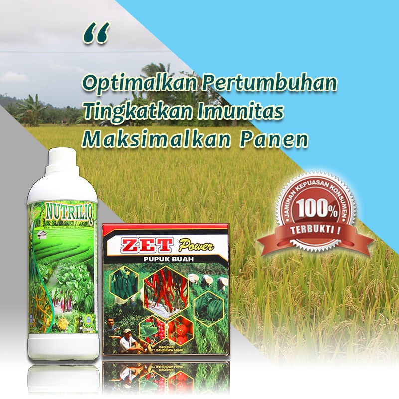 Pupuk Padi Terbaik Untuk Memperbanyak Anakan Dan Saat Bunting Shopee Indonesia