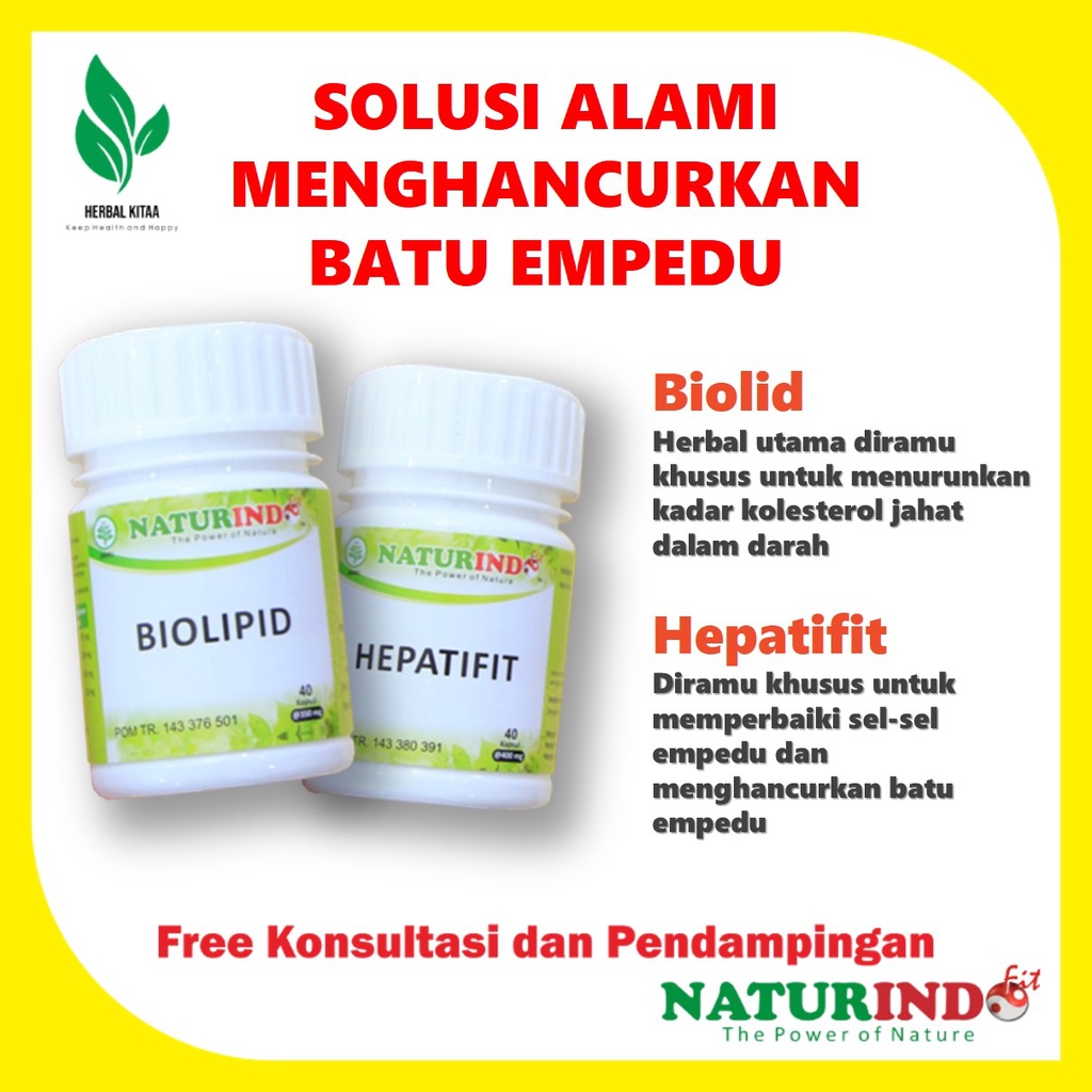 Biolipid Obat Herbal Kolesterol Menghancurkan lemak jahat melancarkan aliran darah Naturindo-Batu Empedu