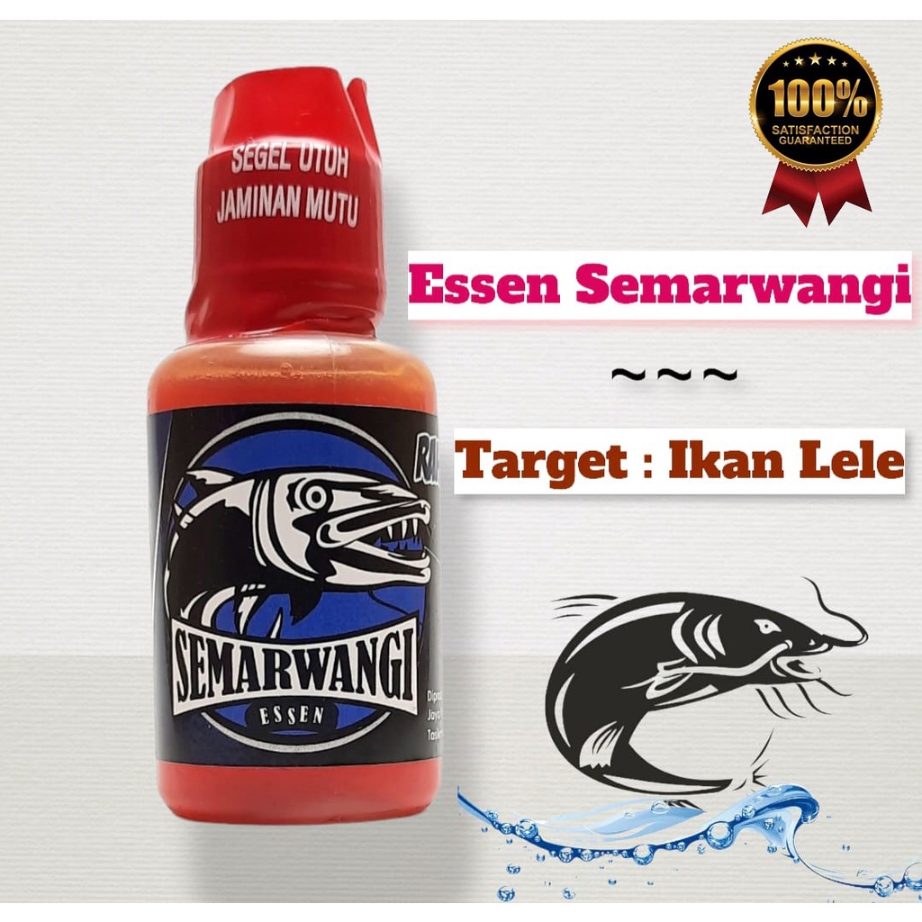 essen ikan lele galatama paling baik, essen ikan lele galatama paing ampuh, essen ikan lele semarwan