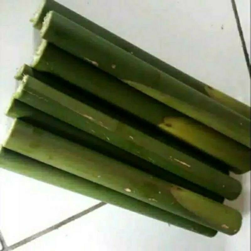 

Korzaln Batang Kecombrang Belum Kupas Varian Muda & Tua