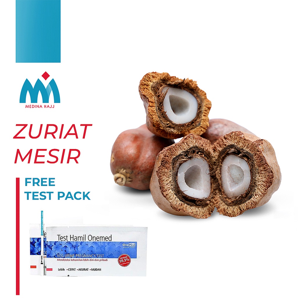 

Buah Zuriat Mesir 1 Kg Bonus Testpack Original Doum Mesir Promil