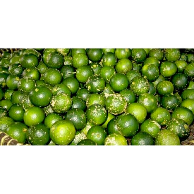 

Jeruk Sambal / Son Kit / Seng Kit / Jeruk Kasturi 500gr