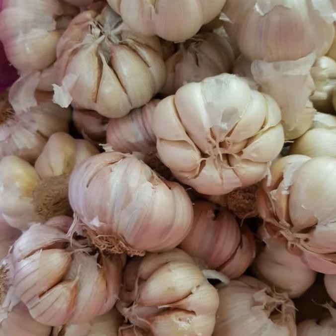 

Big Sale bawang putih 1 kg Diskon