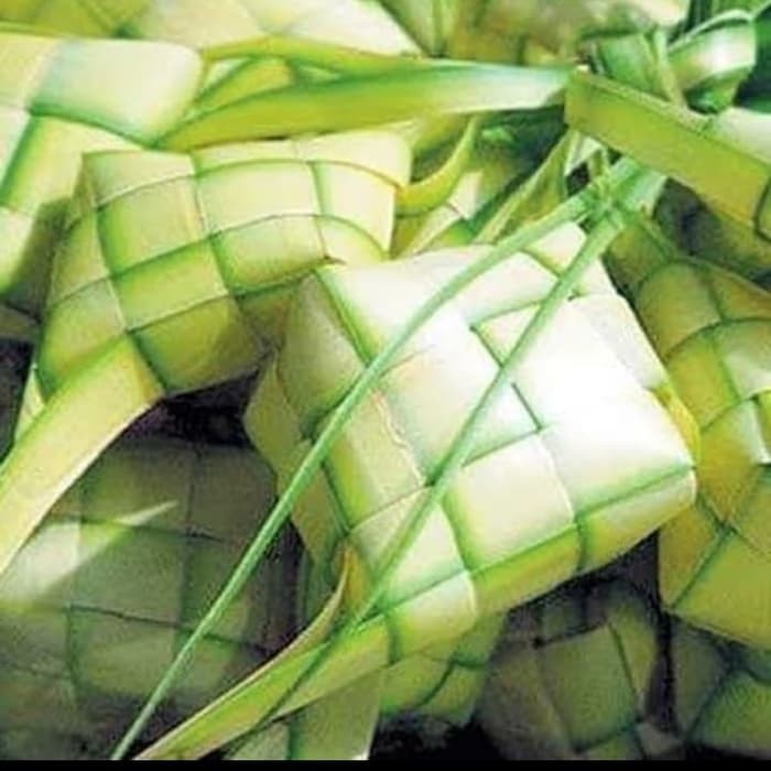 Kulit Ketupat Daun Kelapa Muda Ketupat Lebaran Ketupat Janur