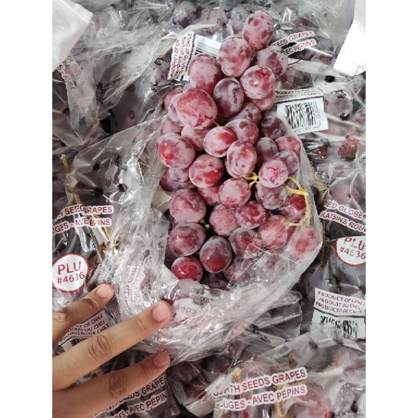 

ANGGUR MERAH / ANGGUR RED GLOBE CHILI