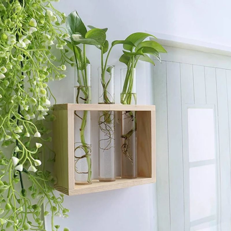 planter wood tanaman air hiasan dinding dan tanaman hias meja, vas bunga kaca, tabung reaksi, kayu s