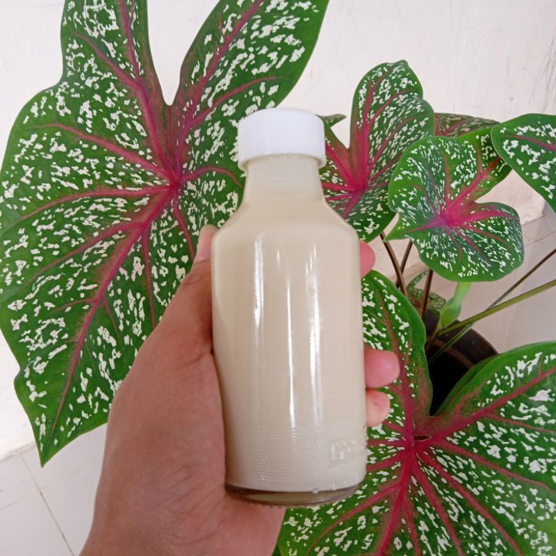 

madu royal jelly