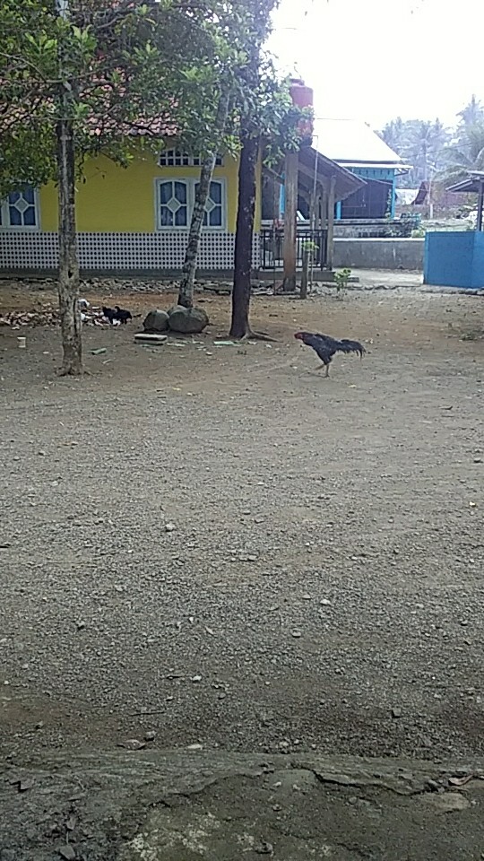 Cetak Foto Free Request Frame (proses Cepat , Bonus Melimpah)