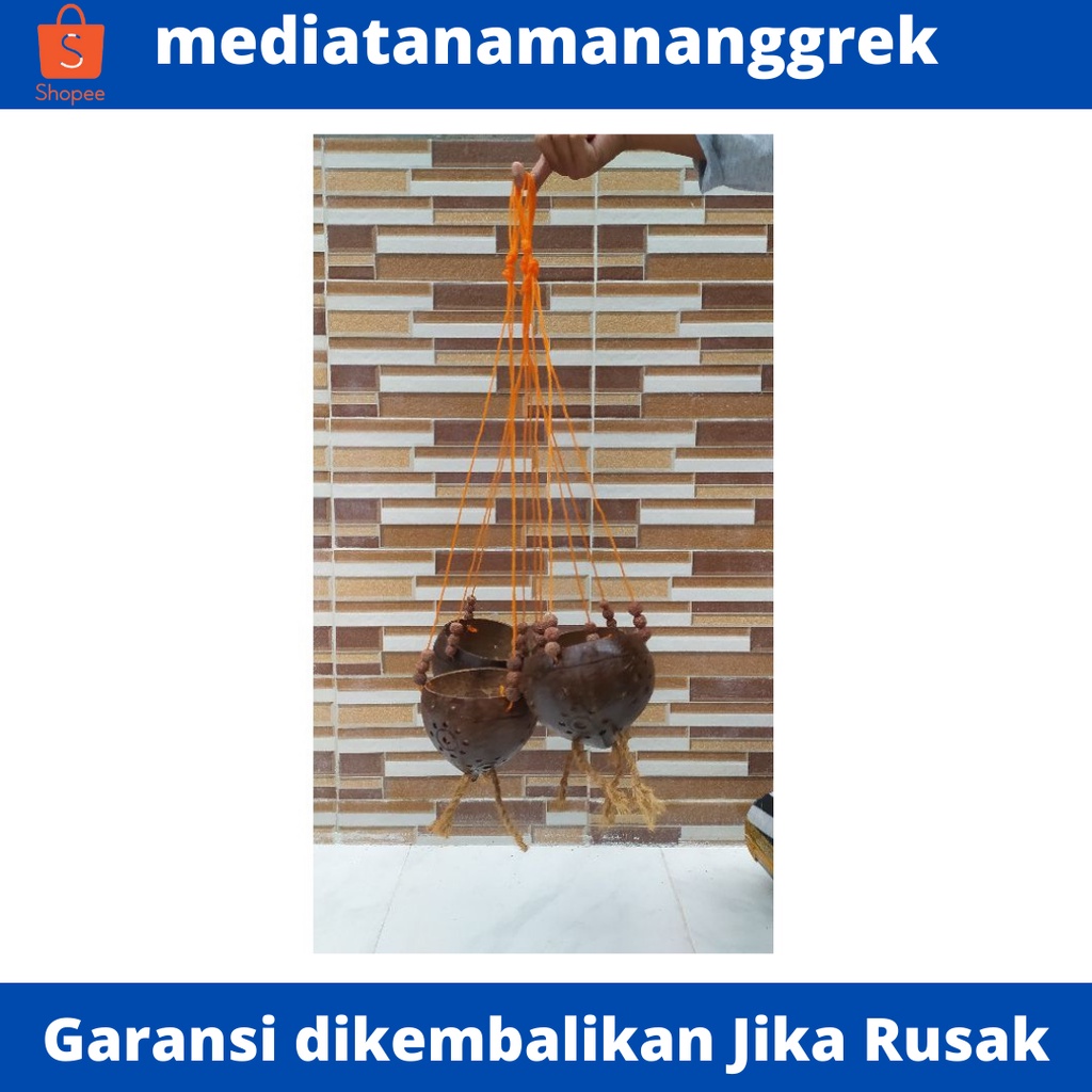pot batok kelapa / pot tempurung kelapa / pot sabut kelapa / pot anggrek gantung / pot gantung