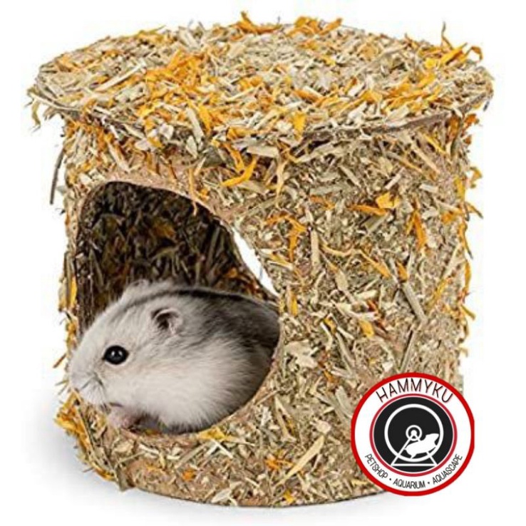 RUMAH HAMSTER - RUMAH HAMSTER NATURAL