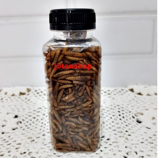 kaya maggot extra astaxanthin ulet ulat kering dry magot larvae pakan makanan ikan hias predator reptil