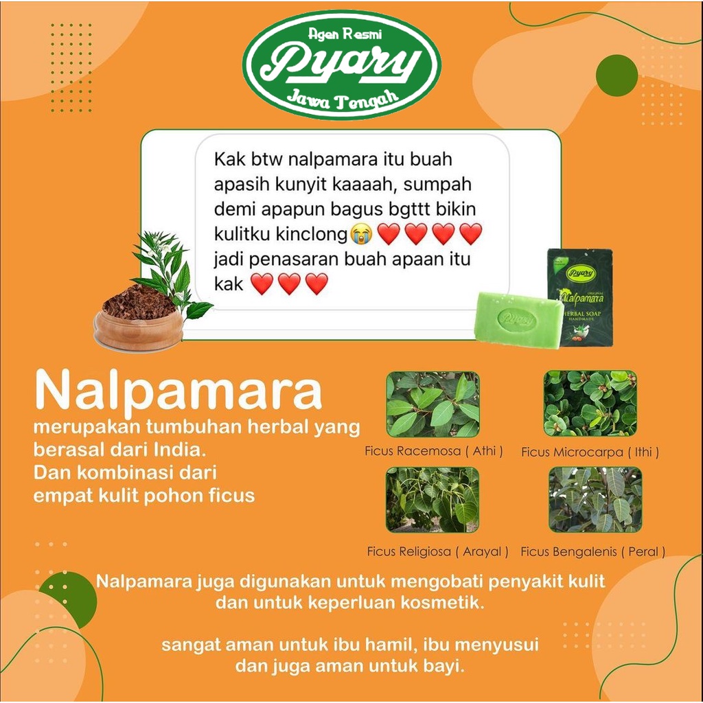 PROMO [BPOM RESMI] Sabun Arab PYARY Nalpamara Soap 100% Original Distributor Resmi