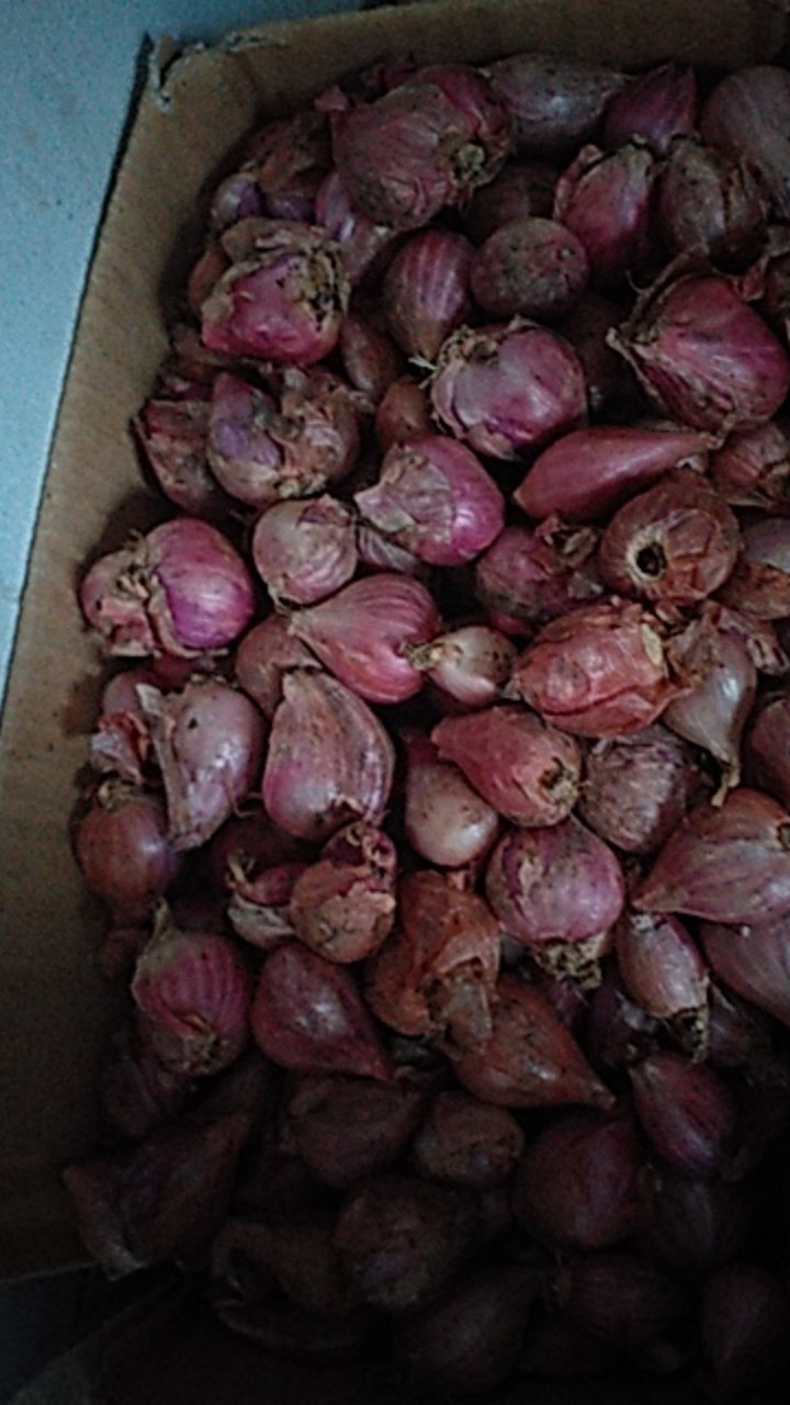 Bawang Merah Lokal 1kg