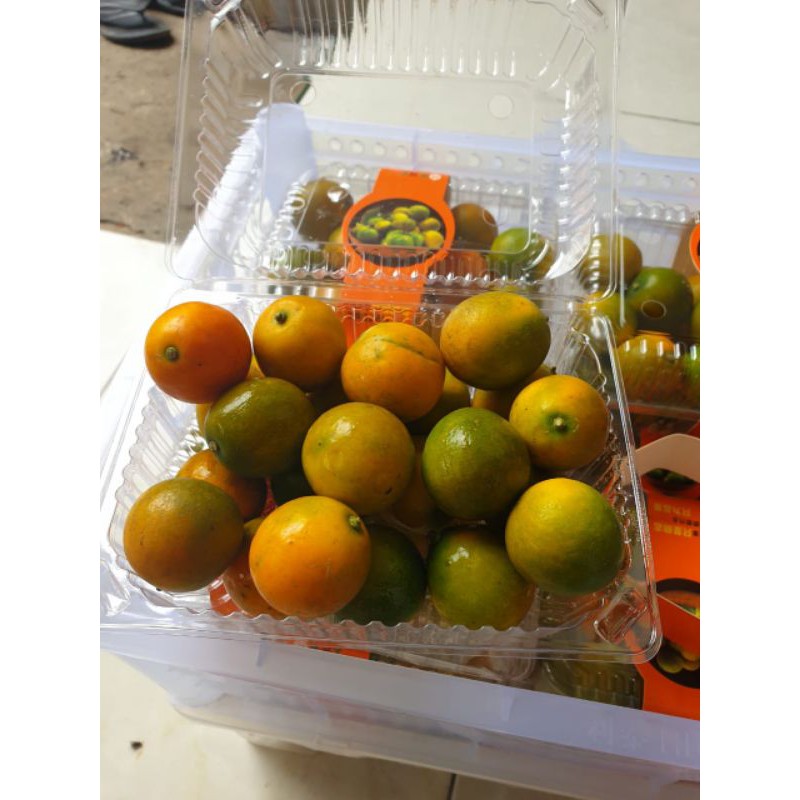 Jual jeruk kimkit | Shopee Indonesia