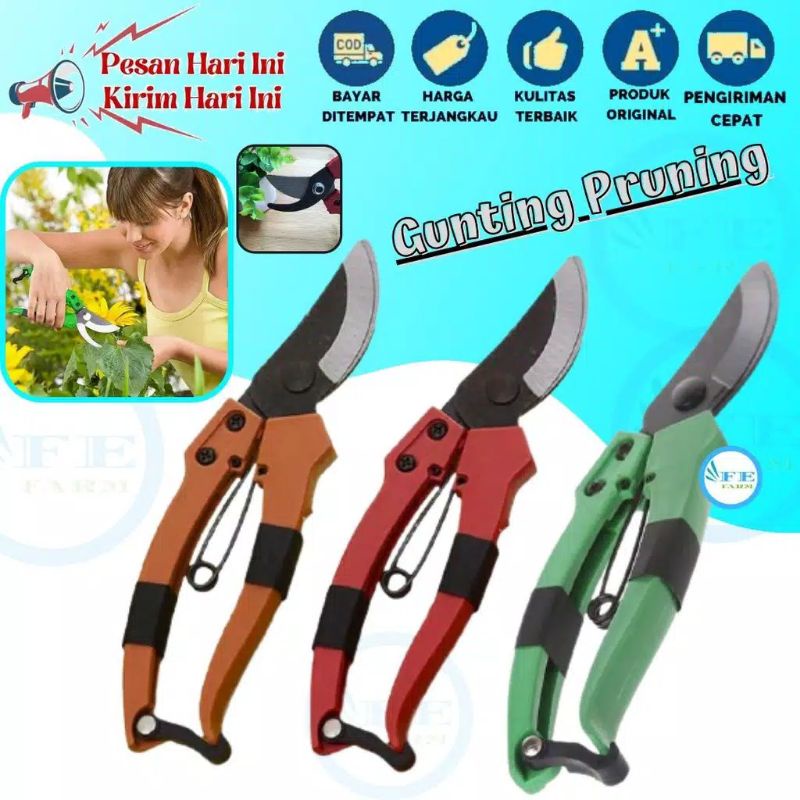 Gunting Dahan Ranting Pruning Batang Daun Tanaman Bunga Gunting BONSAI