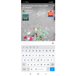 LIVE kak shella_alfatirah Mawar 10