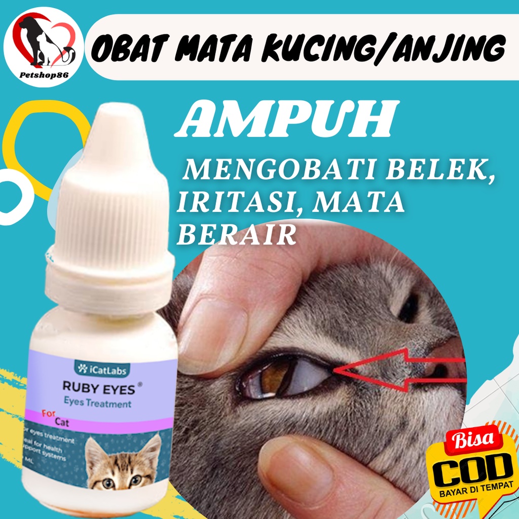 OBAT TETES SAKIT MATA HEWAN KUCING ANJING BELEKAN DAN BERAIR MATA MERAH BENGKAK KATARAK RUBY EYES DR