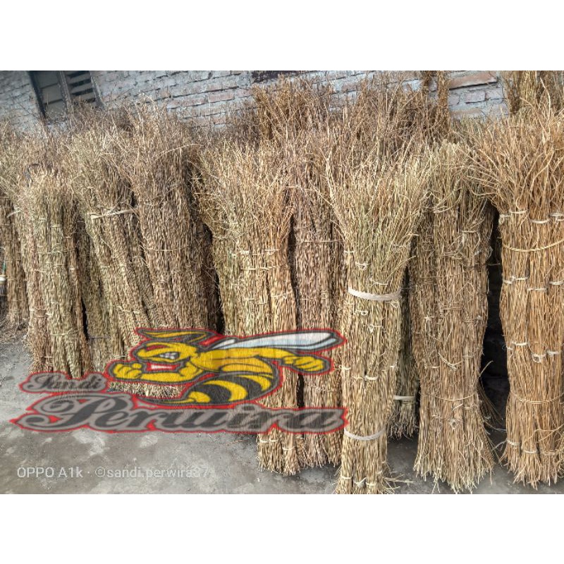 Akar manon, 1 ikat akar manon/akar ulir isi 100 btg