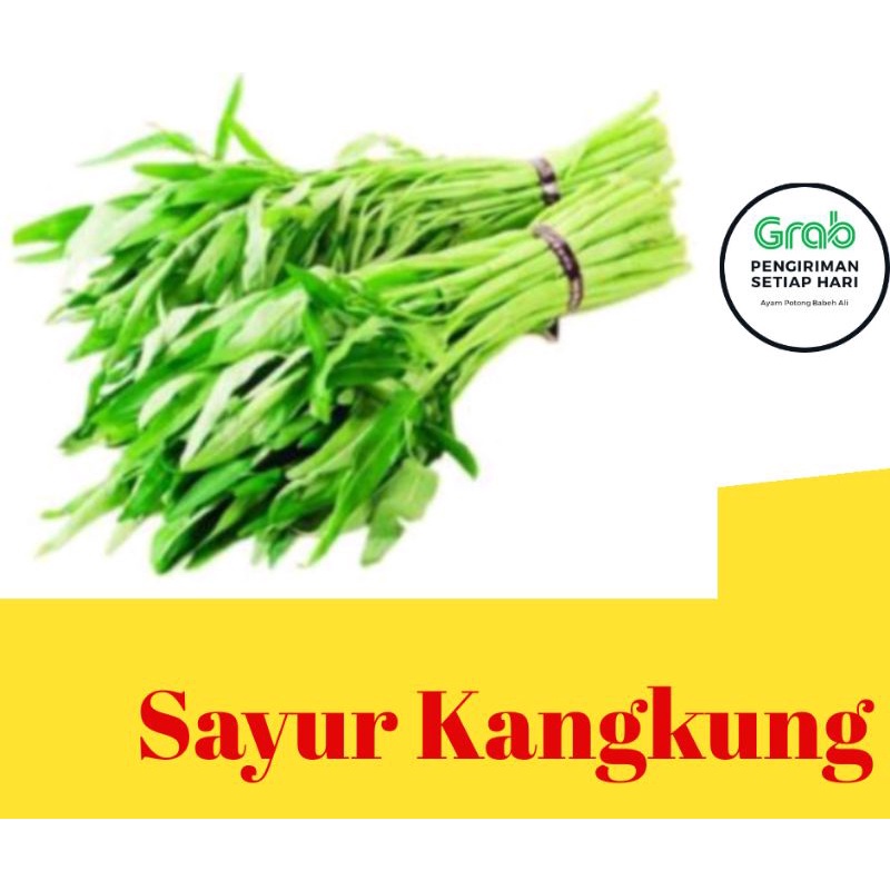 

Sayur Kangkung 1 Ikat