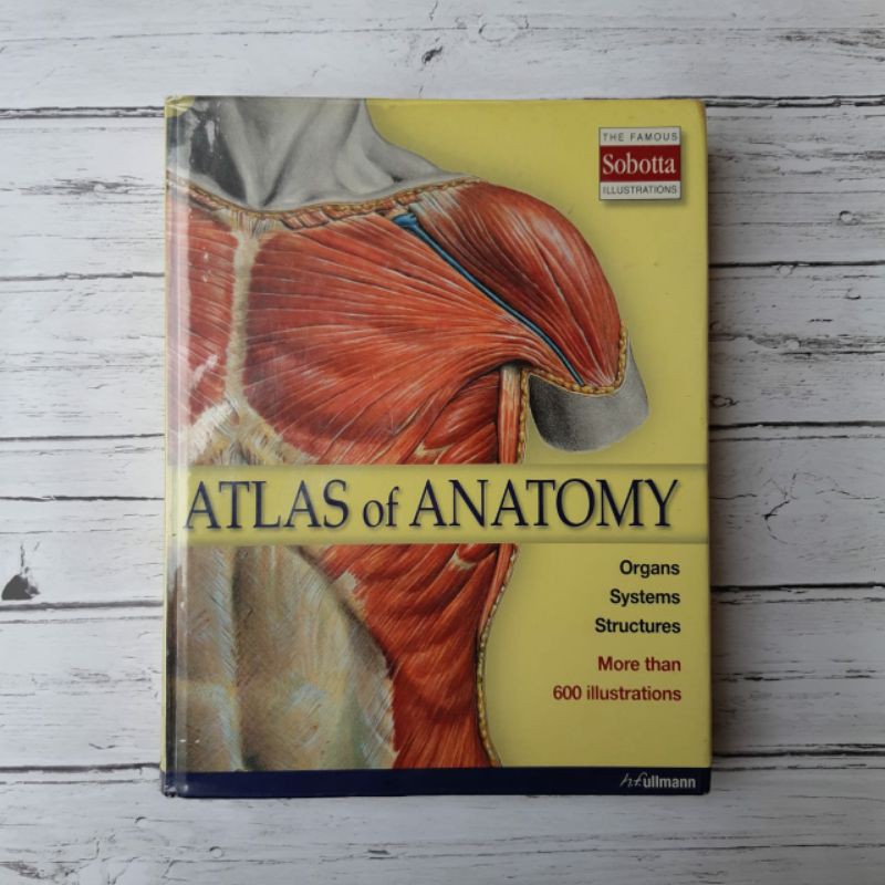 buku bekas kedokteran Sobotta Atlas of anatomy asli bahasa inggris original full color kondisi prima