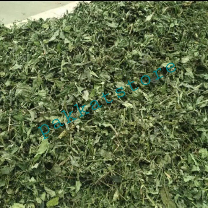 

Sambiloto Kering Daun Sambiroto Cacah Sambiloto Kering / Daun Paitan Kering Murah 250 gr