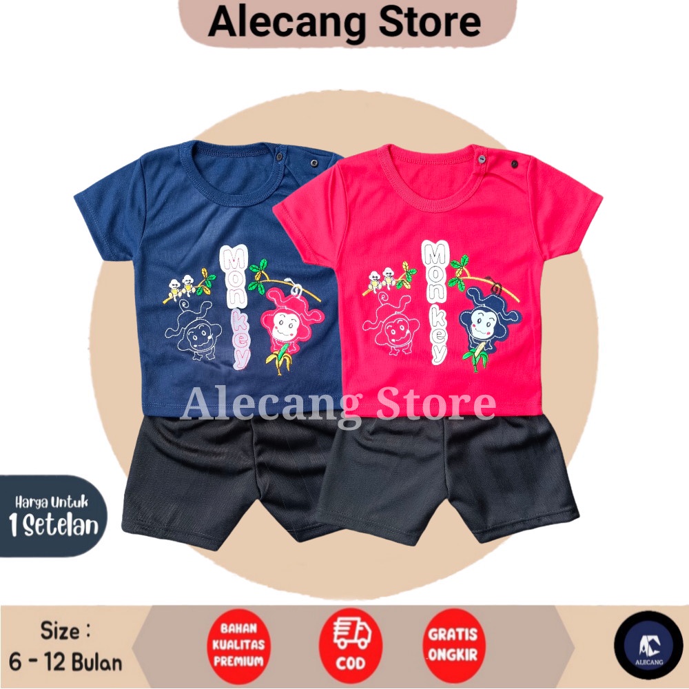 Setelan Pendek Baju Bayi Laki-laki size 6 - 12 Bulan Merk EDRYCA