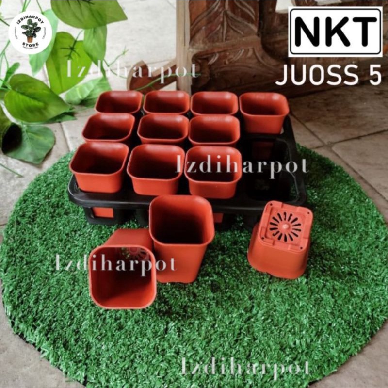 1 set Tray + pot bunga nkt kotak 5cm MERAH BATA | tray semai bibit