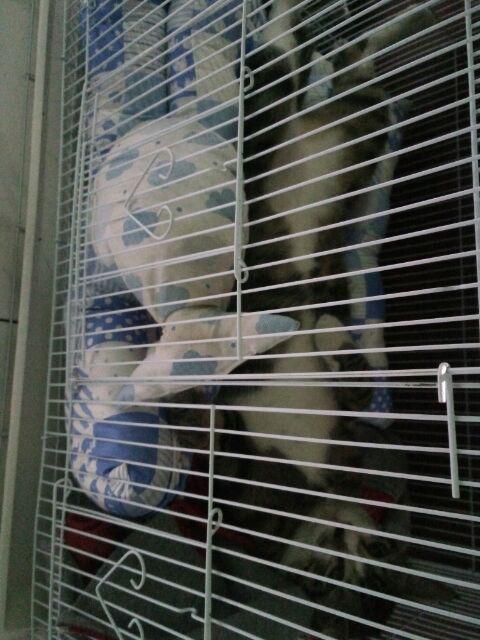 Bantal Alas Duduk 40x40cm