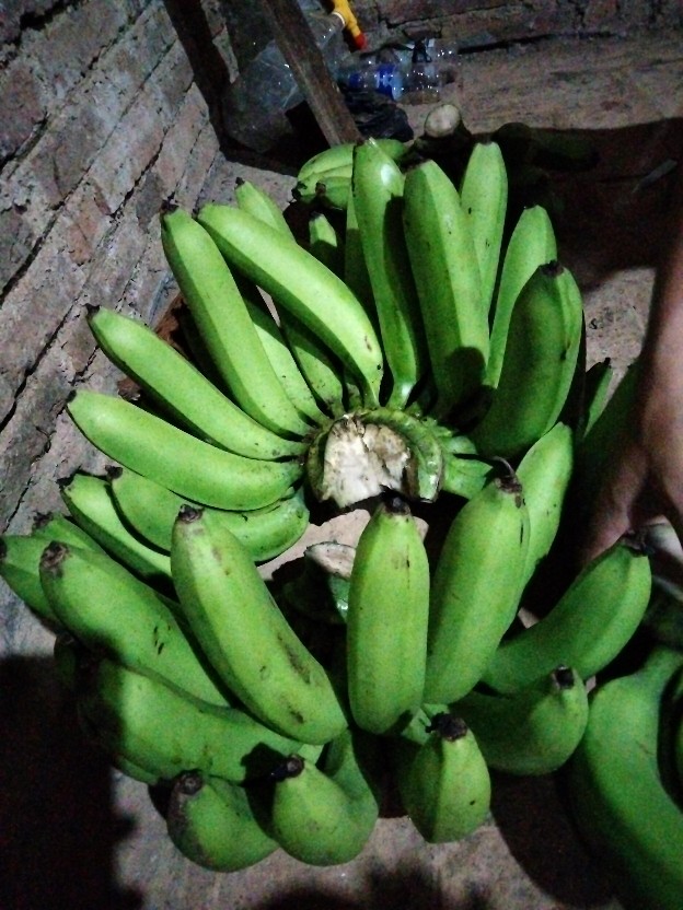 New Kemeja Batik Slimfit Exclusive Original Butik Atasan Batik Seragam M L Xl Xxl