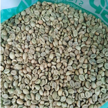 green bean fine robusta puntang kopi premium grade 1 biji kopi mentah kopi robusta java preanger