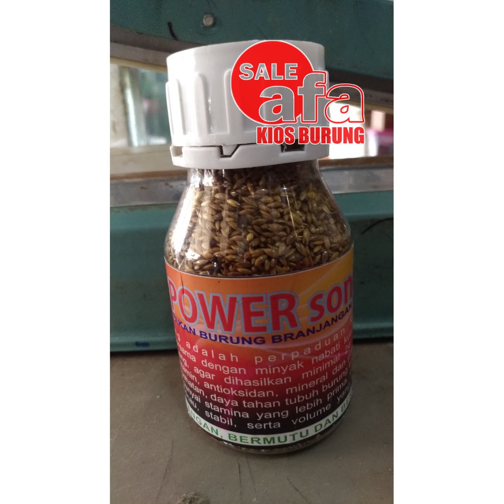 Power Song Pakan Burung Branjangan Gacor Shopee Indonesia