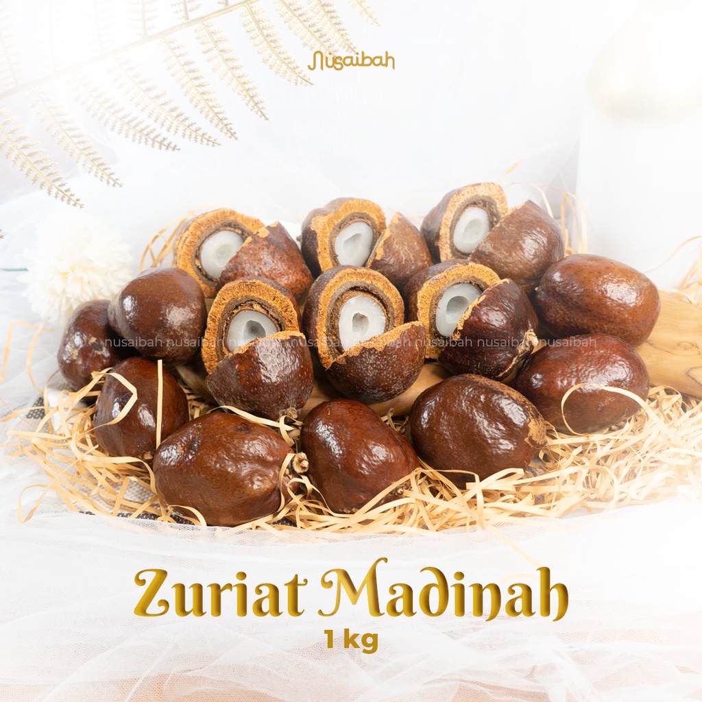 

BUAH ZURIAT MADINAH BELAH 1kg | Buah Zuriat | Promil Zuriat | Promil JSR | Rempah Promil | Doum |