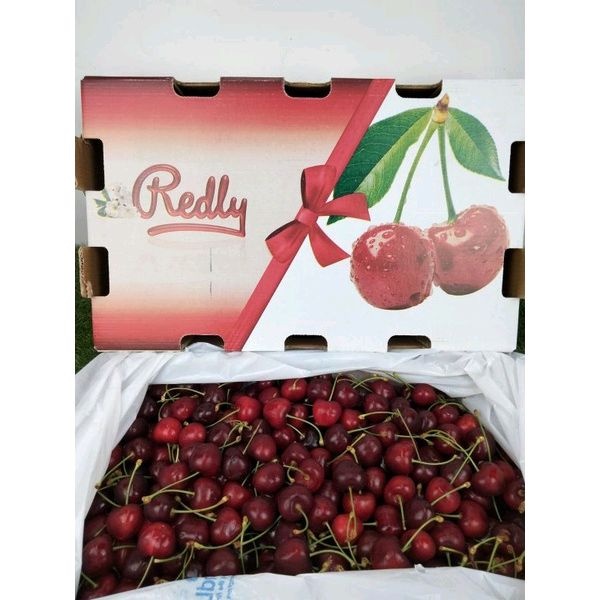

Buah Cherry Import USA 1 Pack