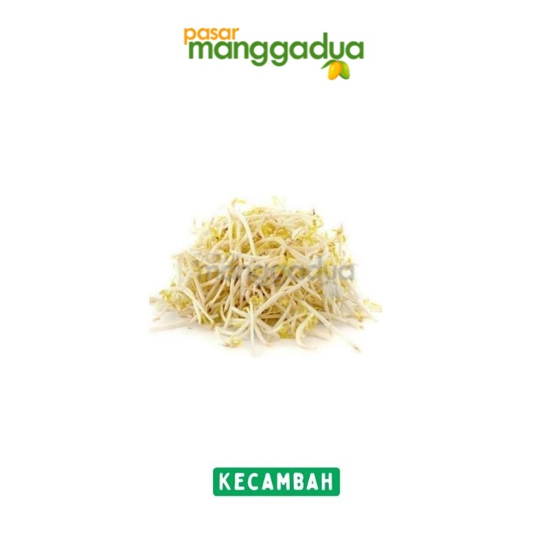 

FRESH !!! Kecambah 500 Gram / Sayur Segar