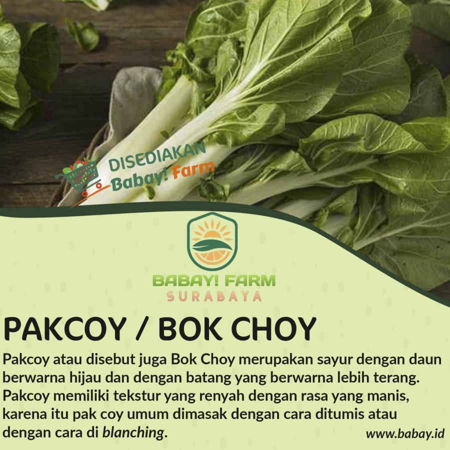 

Pakcoy / Bok Choy / Pak Choi / Sawi Daging Sendok 500 gr 1 kg
