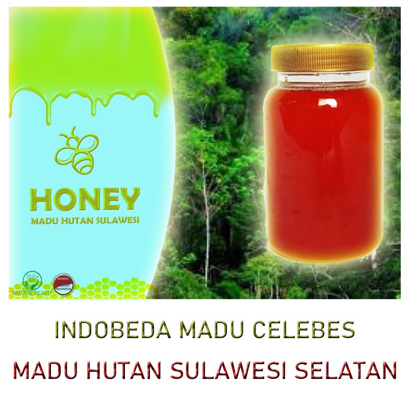 

HONEY/MADU HUTAN SULAWESI