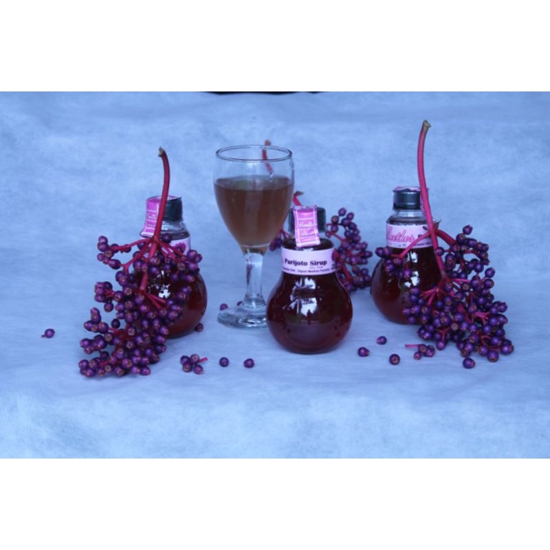 

Paket Buah dan Sirup PARIJOTO 250ml+150gr