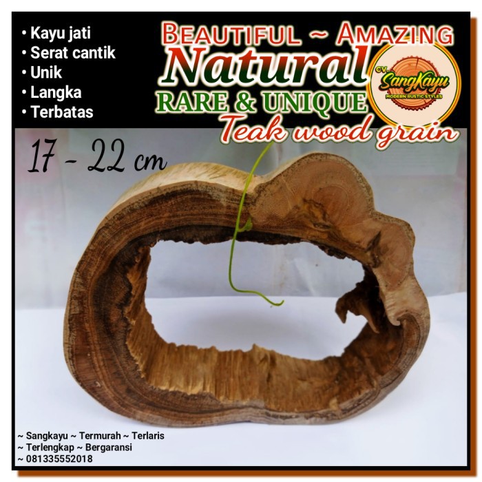 Amazing teak wood corrotion errotion 17-22 cm properti foto dll