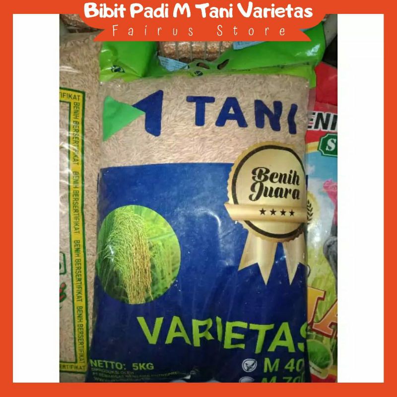 (Madiun) Benih / Bibit Padi Varietas M400 M Tani 5kg