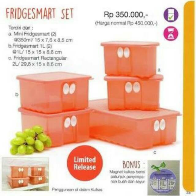 Fridgesmart set