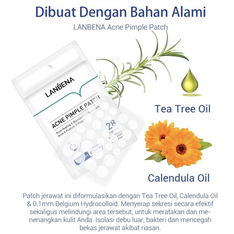 Lanbena Pimpel Patch Night &amp; Day