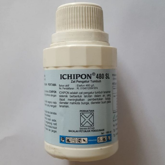 Ichipon 480SL 100ML Zat Pengatur Tumbuh Percepat Kematangan Buah