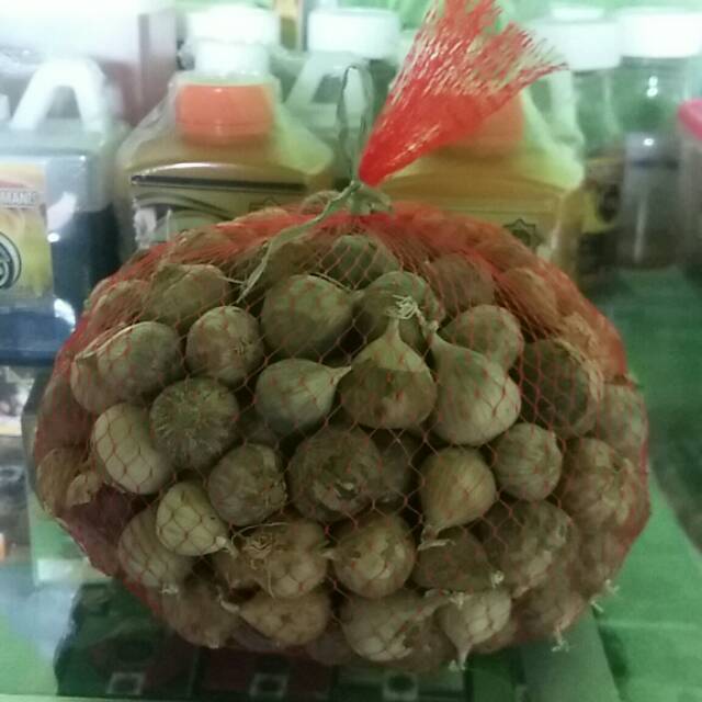 

Bawang putih lanang atau tunggal 1kg