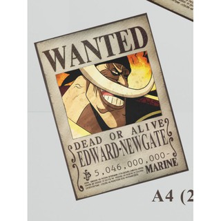 Jual Edward Newgate Poster Wanted Bounty One Piece Terbaru Indonesia Shopee Indonesia