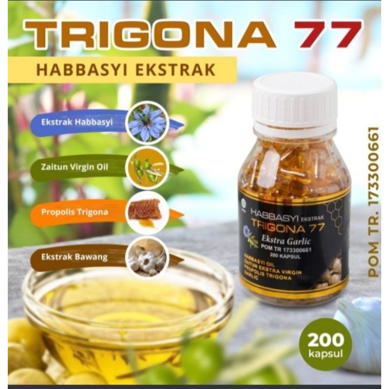 

Trigona77