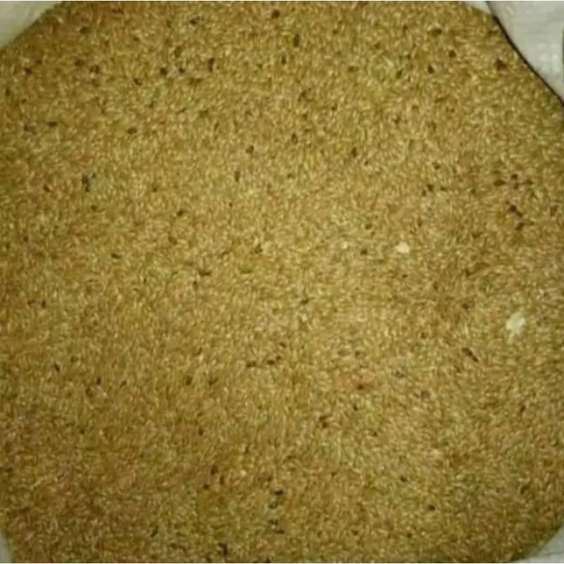 biji rumput akar wangi vertiver akar wangi 1kg