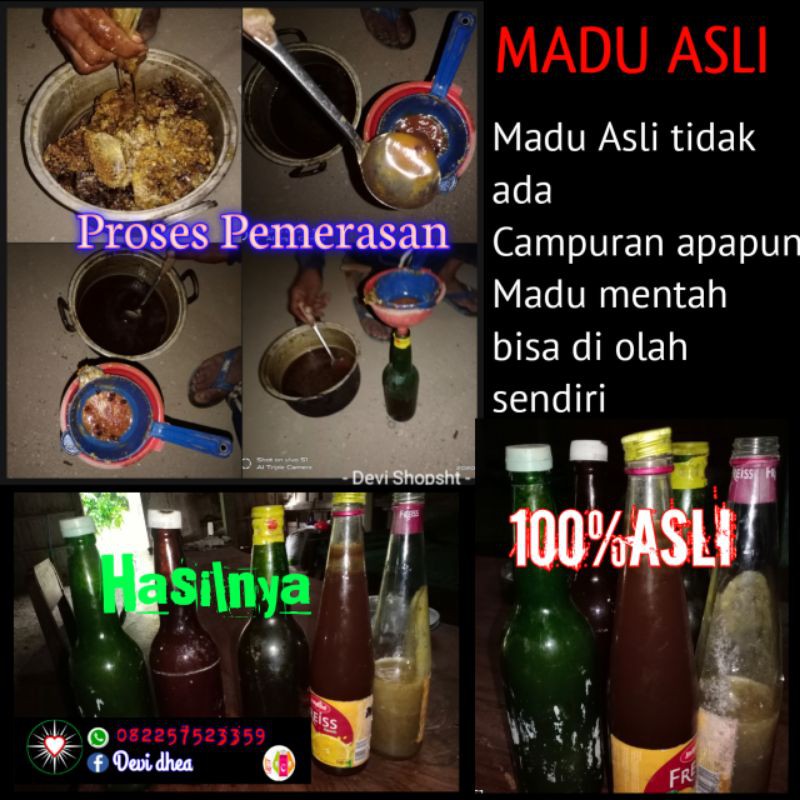 

Madu ASLI dari Hutan