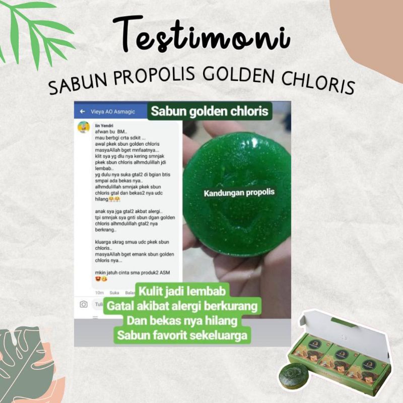 BEST SELLER Sabun Golden Chloris Propolis ASM Beauty Care