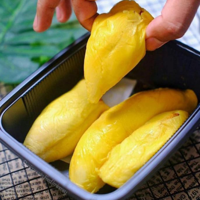 

Musang King Asli Pahang Malaysia Terlaris